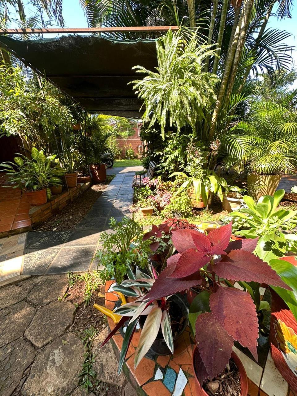 Posada Portal del Iguazu Puerto Iguazú Exterior foto